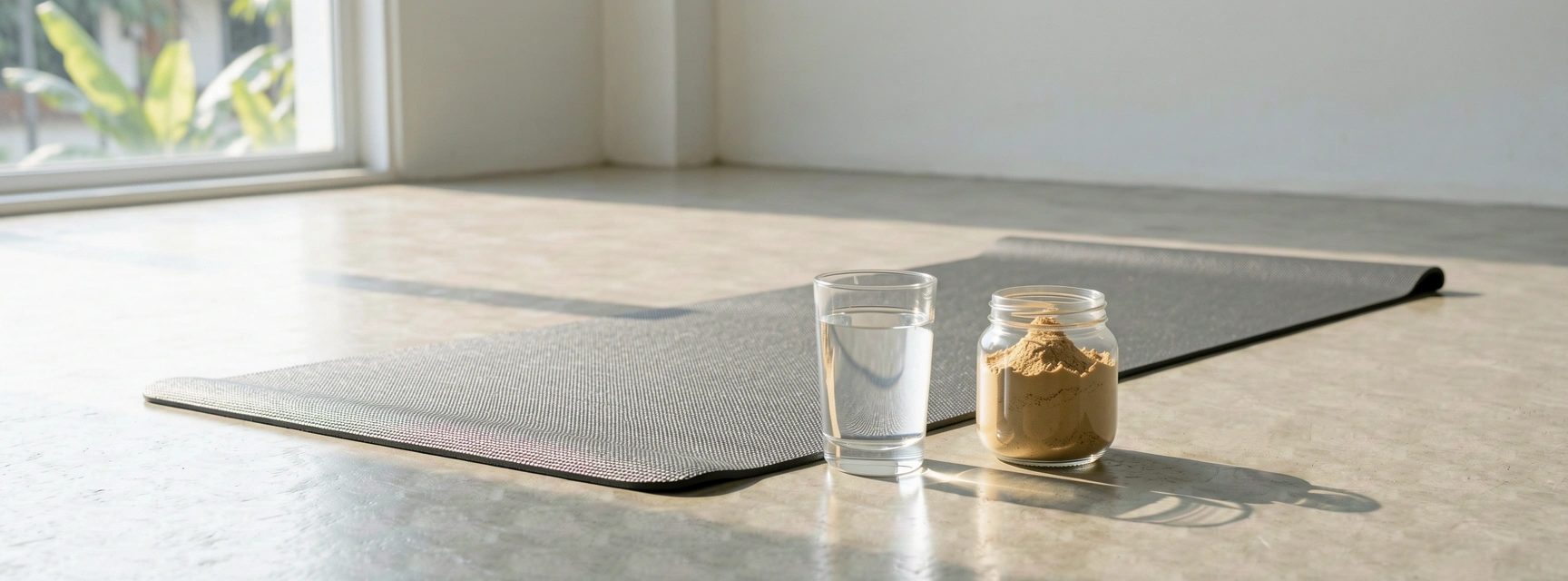 AktivLife Lifestyle Context